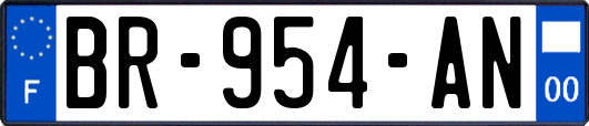 BR-954-AN