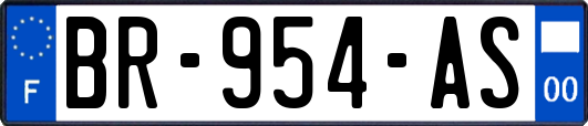 BR-954-AS