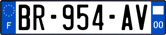 BR-954-AV