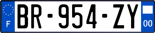 BR-954-ZY