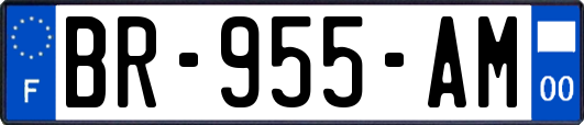 BR-955-AM
