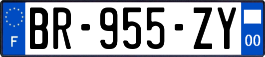 BR-955-ZY