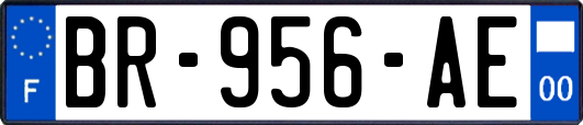 BR-956-AE