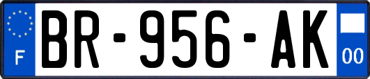 BR-956-AK