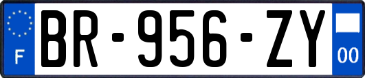 BR-956-ZY