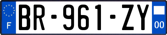 BR-961-ZY