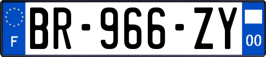 BR-966-ZY