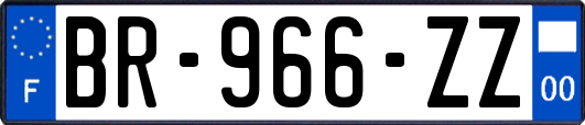 BR-966-ZZ