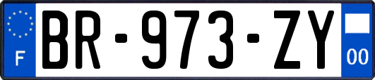 BR-973-ZY