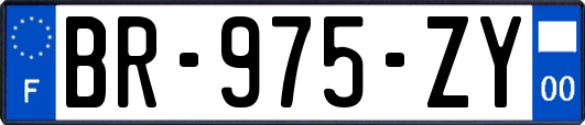 BR-975-ZY