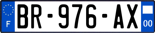 BR-976-AX