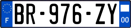 BR-976-ZY