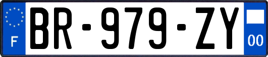 BR-979-ZY