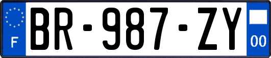 BR-987-ZY