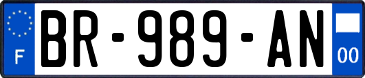 BR-989-AN
