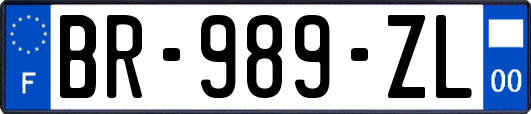 BR-989-ZL