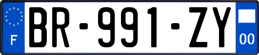 BR-991-ZY