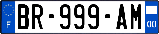 BR-999-AM
