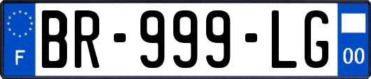 BR-999-LG