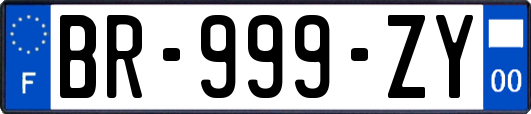 BR-999-ZY
