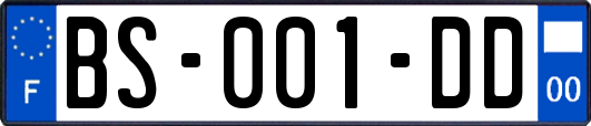 BS-001-DD