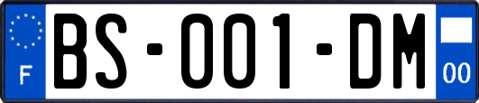 BS-001-DM