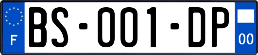 BS-001-DP