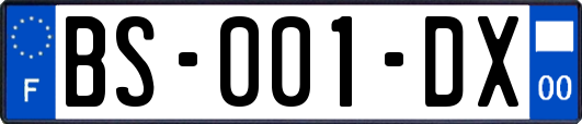 BS-001-DX