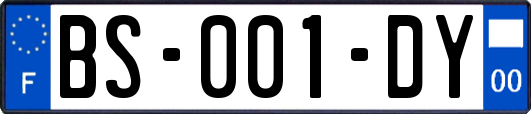 BS-001-DY