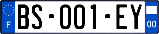 BS-001-EY