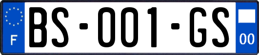 BS-001-GS