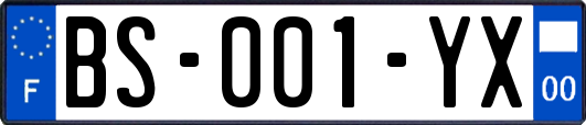 BS-001-YX