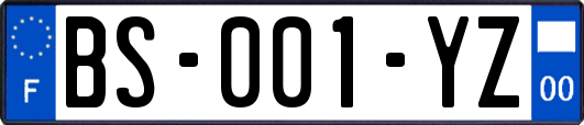 BS-001-YZ