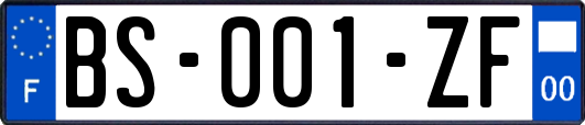 BS-001-ZF