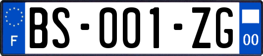 BS-001-ZG