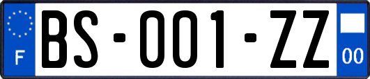 BS-001-ZZ