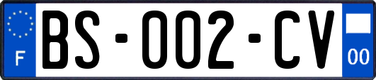 BS-002-CV