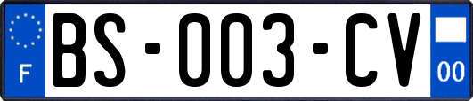 BS-003-CV