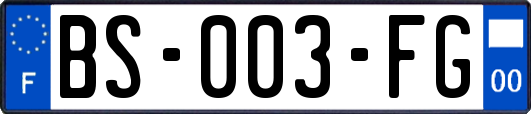 BS-003-FG