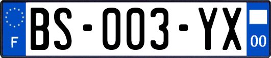 BS-003-YX