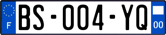 BS-004-YQ