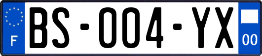 BS-004-YX