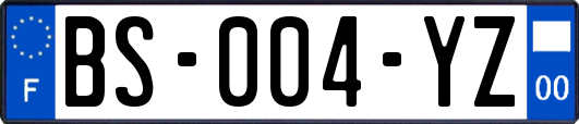 BS-004-YZ