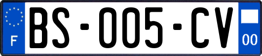 BS-005-CV