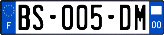 BS-005-DM