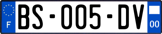 BS-005-DV