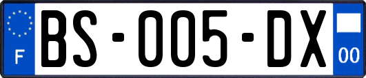 BS-005-DX