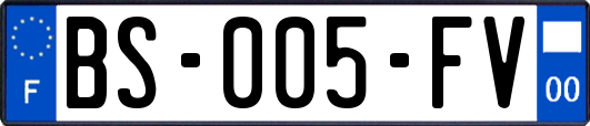 BS-005-FV