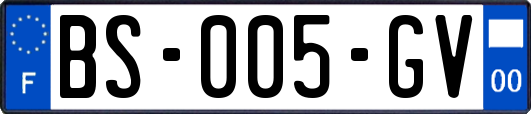 BS-005-GV