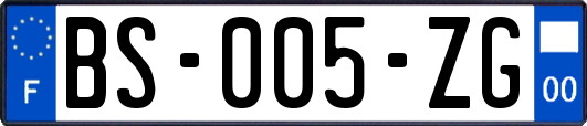 BS-005-ZG